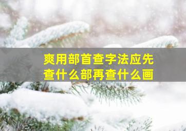 爽用部首查字法应先查什么部再查什么画