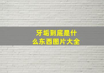 牙垢到底是什么东西图片大全