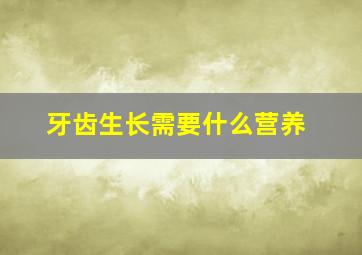 牙齿生长需要什么营养