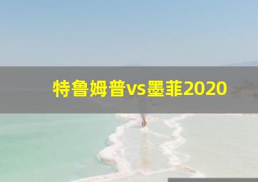 特鲁姆普vs墨菲2020