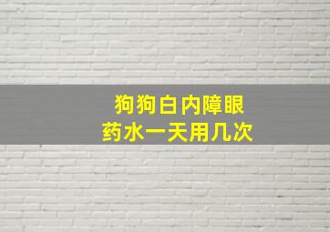 狗狗白内障眼药水一天用几次