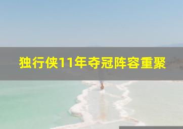 独行侠11年夺冠阵容重聚