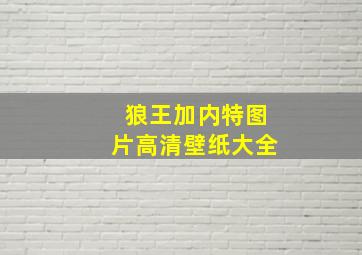 狼王加内特图片高清壁纸大全