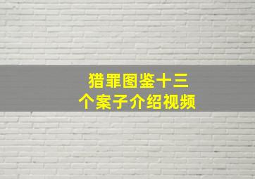 猎罪图鉴十三个案子介绍视频