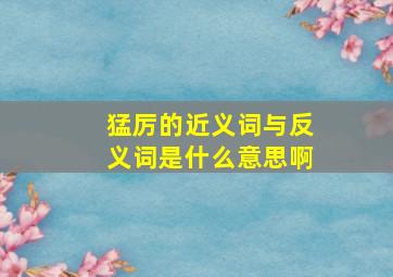 猛厉的近义词与反义词是什么意思啊