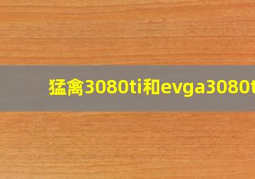 猛禽3080ti和evga3080ti