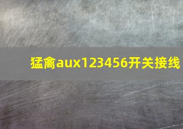 猛禽aux123456开关接线