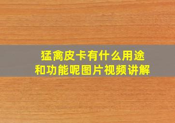 猛禽皮卡有什么用途和功能呢图片视频讲解