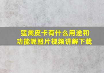 猛禽皮卡有什么用途和功能呢图片视频讲解下载