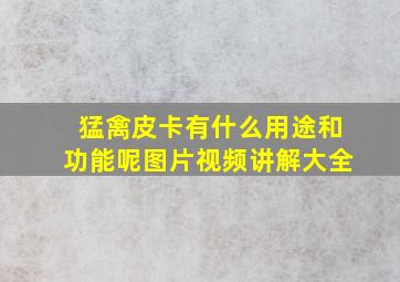 猛禽皮卡有什么用途和功能呢图片视频讲解大全