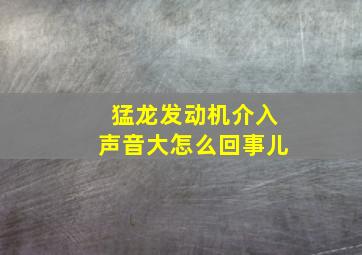 猛龙发动机介入声音大怎么回事儿