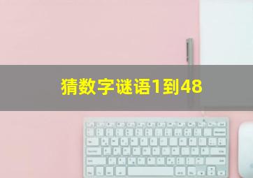 猜数字谜语1到48