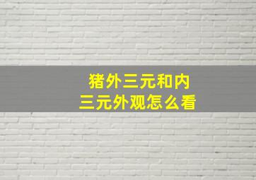 猪外三元和内三元外观怎么看