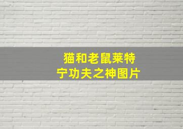 猫和老鼠莱特宁功夫之神图片