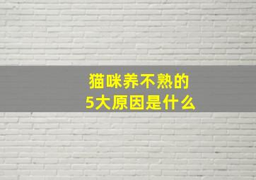 猫咪养不熟的5大原因是什么