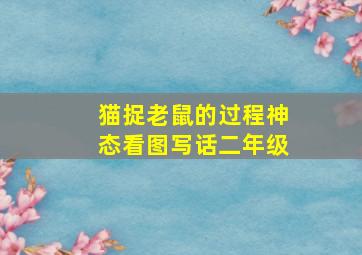 猫捉老鼠的过程神态看图写话二年级