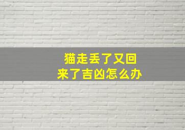 猫走丢了又回来了吉凶怎么办