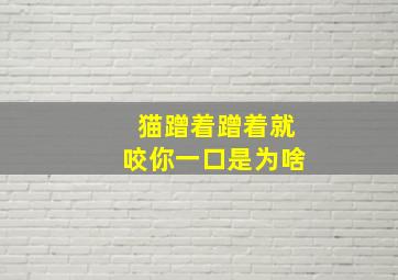 猫蹭着蹭着就咬你一口是为啥