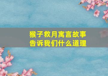 猴子救月寓言故事告诉我们什么道理