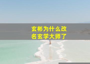 玄彬为什么改名玄学大师了