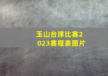 玉山台球比赛2023赛程表图片