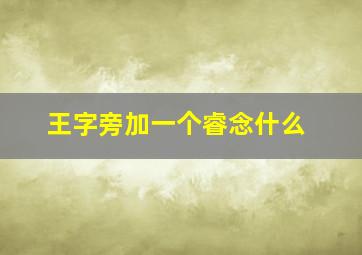 王字旁加一个睿念什么