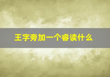 王字旁加一个睿读什么