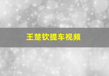 王楚钦提车视频