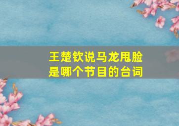 王楚钦说马龙甩脸是哪个节目的台词