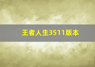 王者人生3511版本