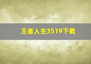 王者人生3519下载