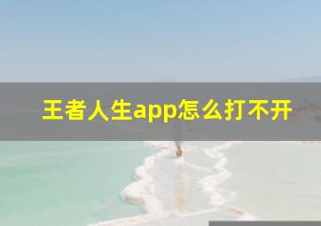 王者人生app怎么打不开