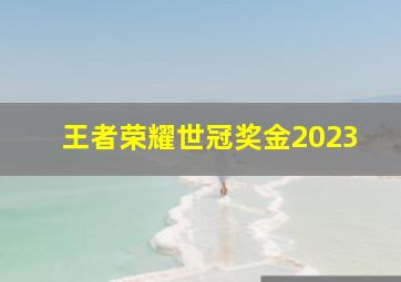 王者荣耀世冠奖金2023