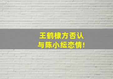 王鹤棣方否认与陈小纭恋情!