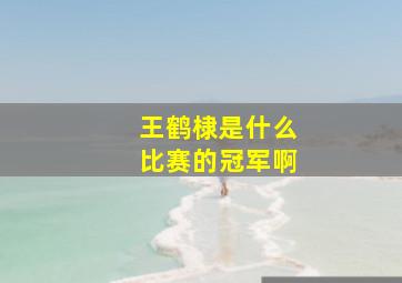 王鹤棣是什么比赛的冠军啊