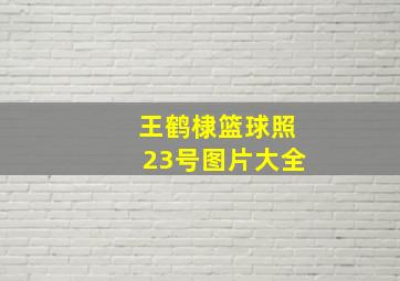 王鹤棣篮球照23号图片大全