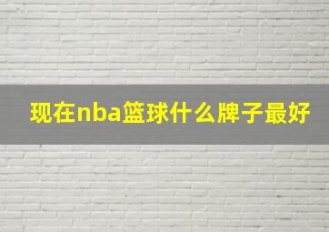 现在nba篮球什么牌子最好