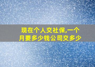 现在个人交社保,一个月要多少钱公司交多少