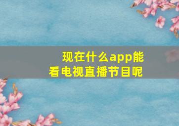 现在什么app能看电视直播节目呢