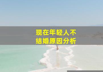 现在年轻人不结婚原因分析