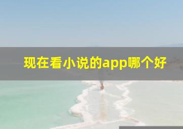 现在看小说的app哪个好