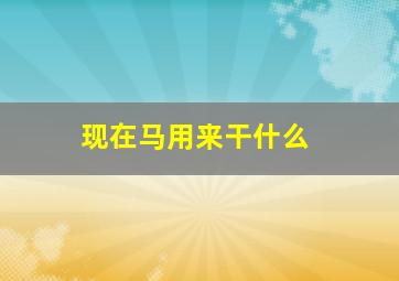 现在马用来干什么