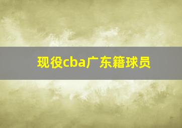 现役cba广东籍球员