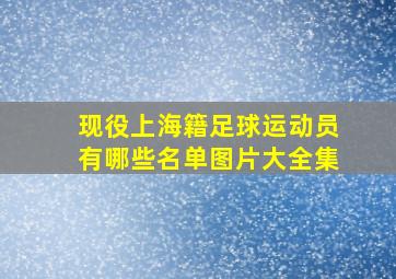 现役上海籍足球运动员有哪些名单图片大全集