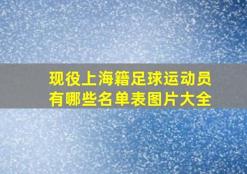 现役上海籍足球运动员有哪些名单表图片大全