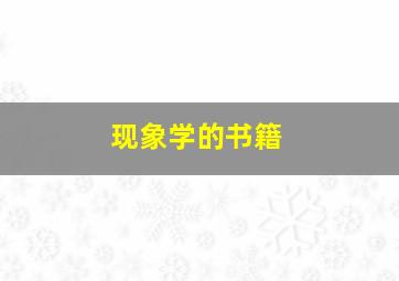 现象学的书籍