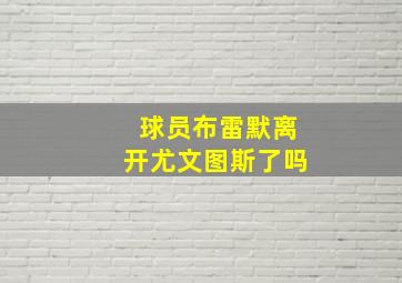 球员布雷默离开尤文图斯了吗