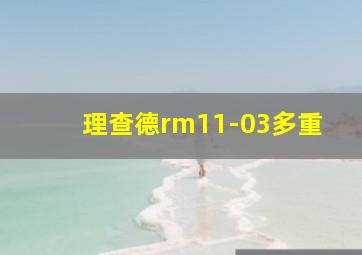 理查德rm11-03多重