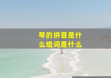 琴的拼音是什么组词是什么