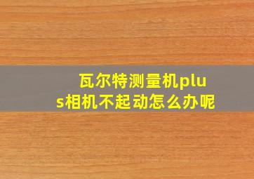 瓦尔特测量机plus相机不起动怎么办呢